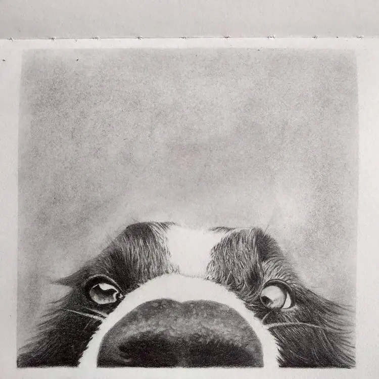 Minha era no Desenho Realista 15 119206531 174819437474382 3459154009382915908 n