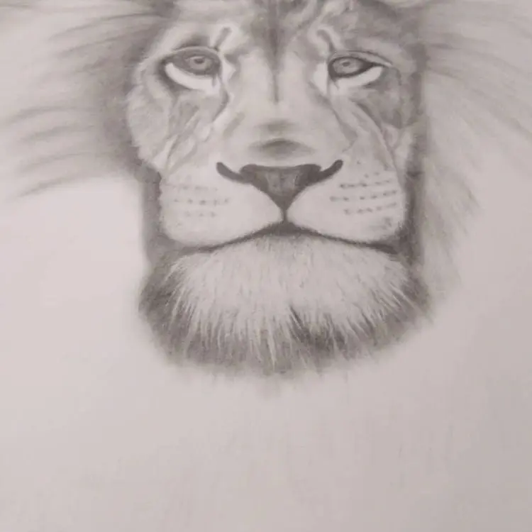 Minha era no Desenho Realista 3 81662009 706939076505332 1091324641888905853 n