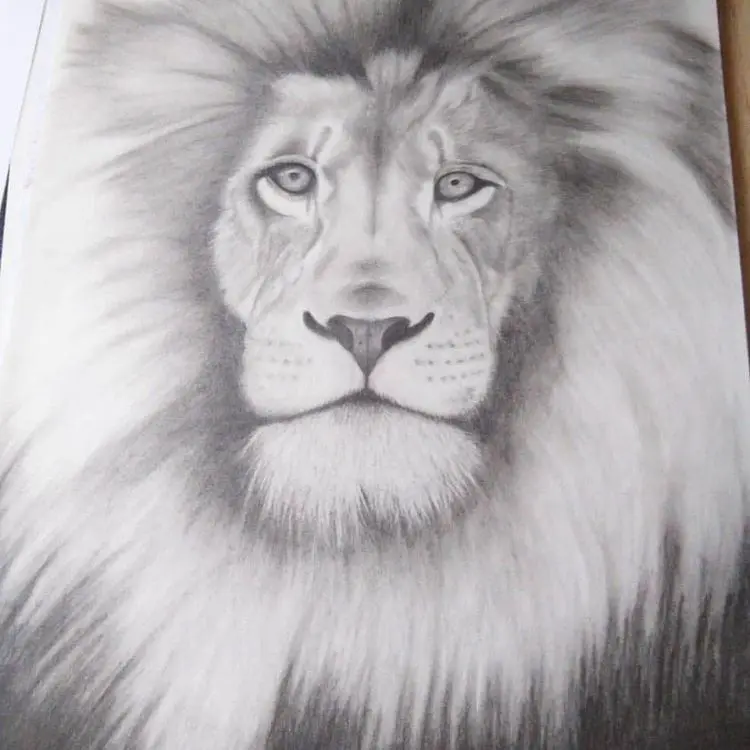 Minha era no Desenho Realista 4 81755279 494406094596057 6828711189217492968 n