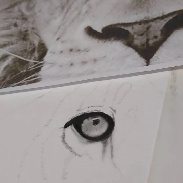 Minha era no Desenho Realista 2 81939553 541513453108337 1777308495363463824 n