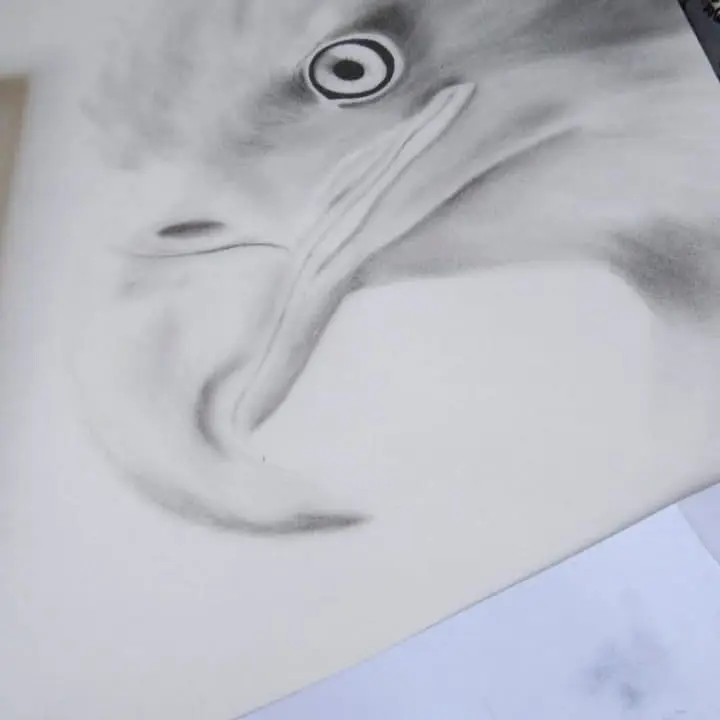 Minha era no Desenho Realista 8 82809339 509411679685038 797041835697668805 n
