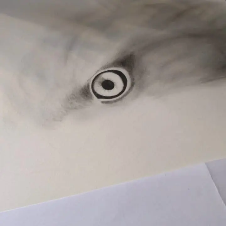 Minha era no Desenho Realista 7 82812685 508440283359823 3464916562650864083 n