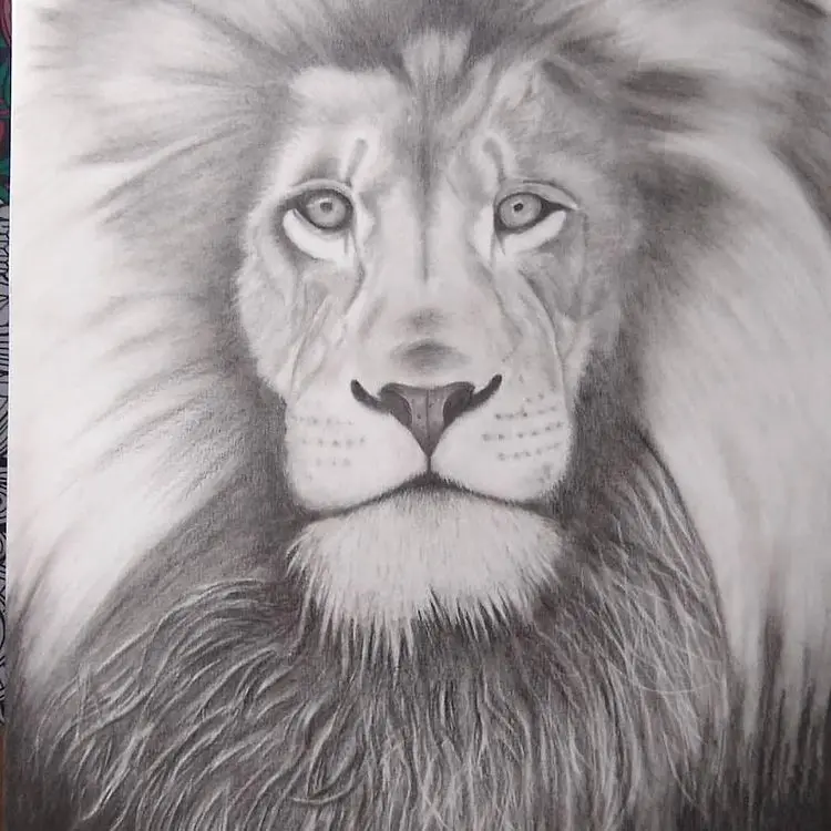 Minha era no Desenho Realista 5 83417865 2503254979801796 3962363460527466695 n
