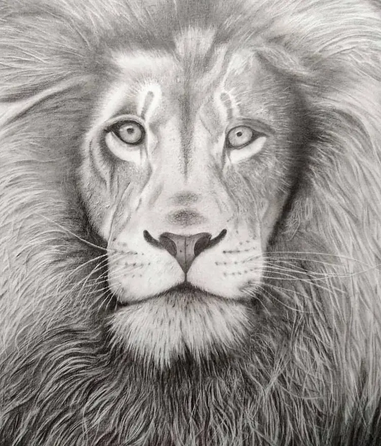 Minha era no Desenho Realista 6 Desenho Realista - Leão