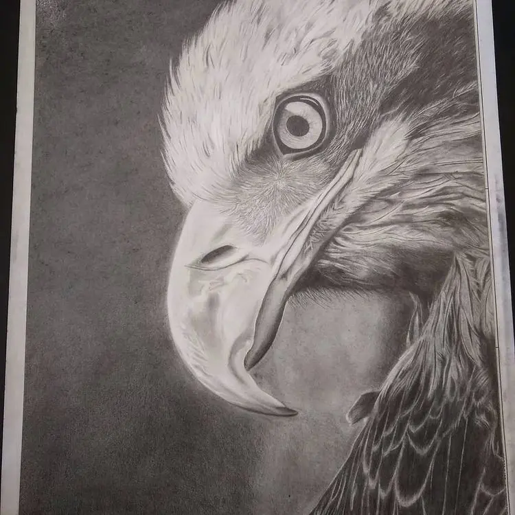 Minha era no Desenho Realista 11 90037111 1108970642803839 2450621468467368816 n