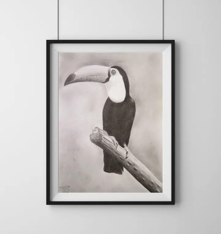 Minha era no Desenho Realista 1 Desenho Realista - Tucano